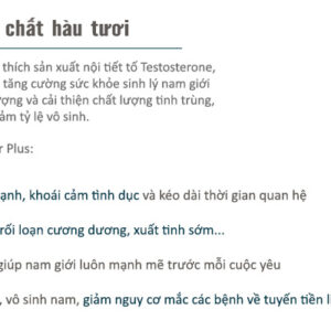 Thành Phần Tinh chất hàu Oyster Plus
