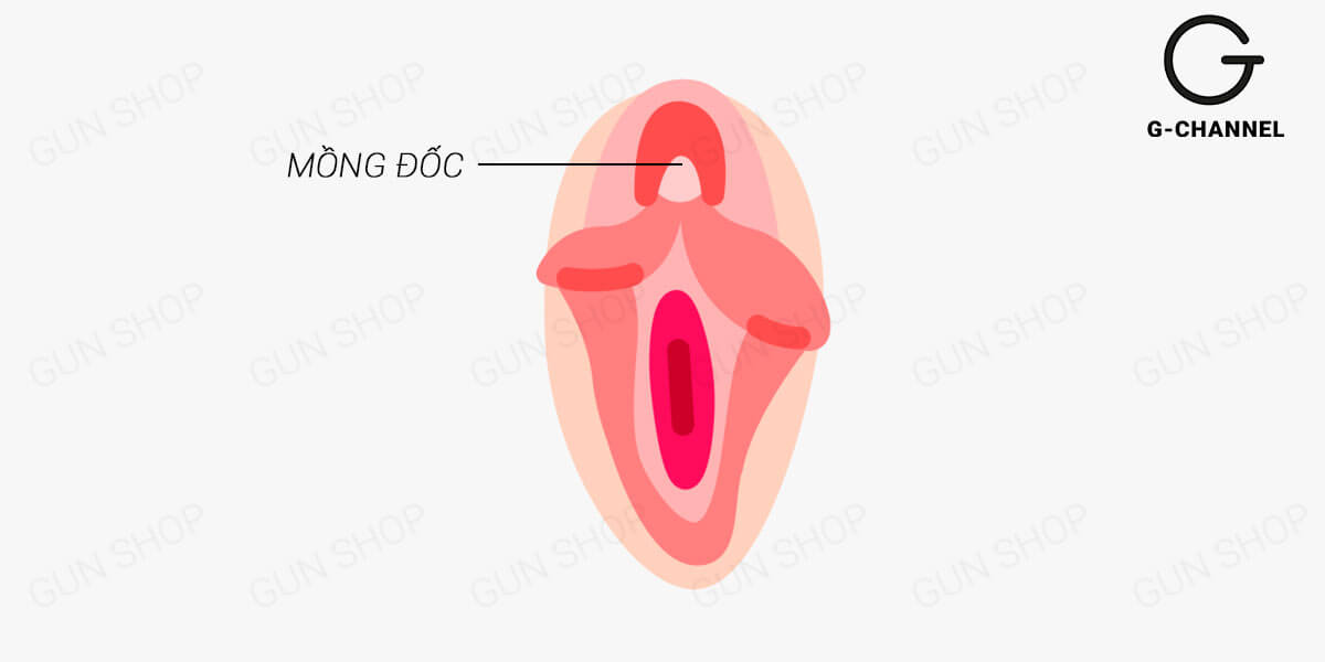 Mồng đốc là gì? Vén màn bí mật cho chị em phụ nữ